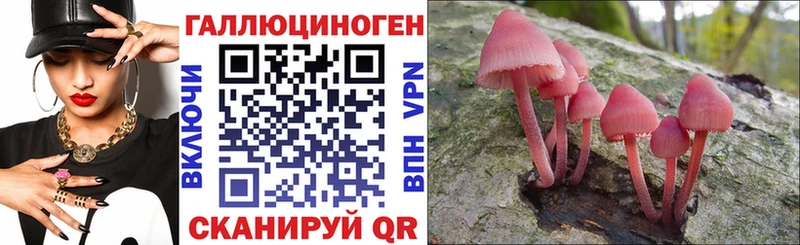 blacksprut ONION  Тейково  Псилоцибиновые грибы Magic Shrooms  закладки 